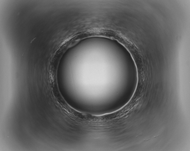 X0000116131206200911301340