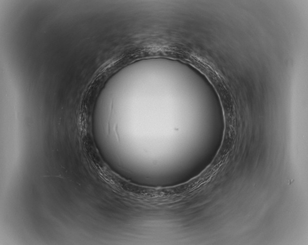 X0000116131207200911301340