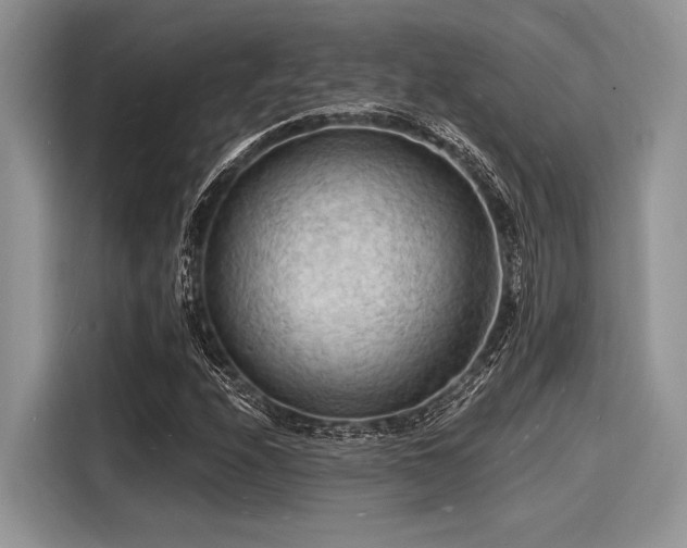 X0000116131208200911301340