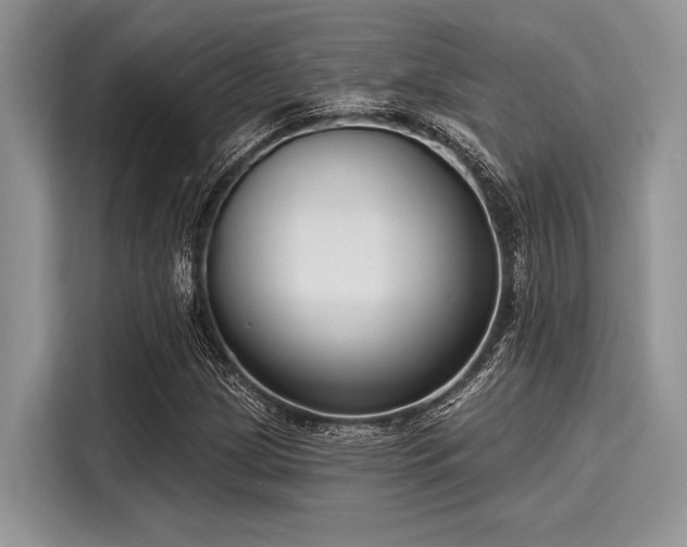 X0000116131209200911301340