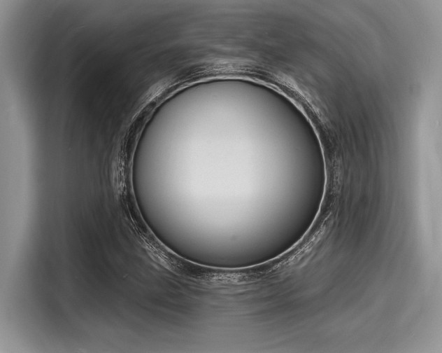 X0000116131211200911301340