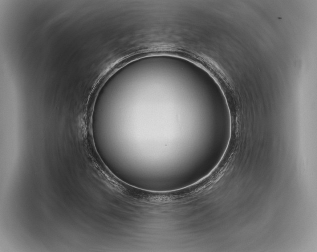 X0000116131212200911301340