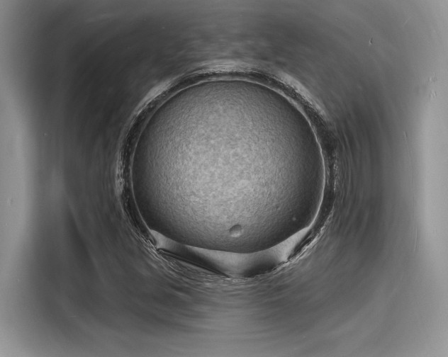 X0000116131213200911301340