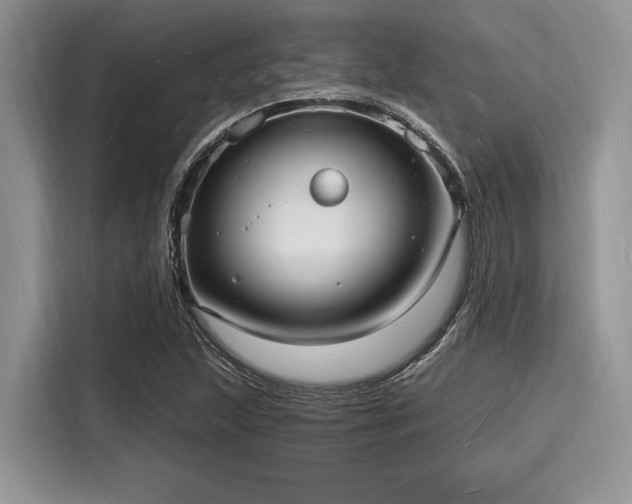 X0000116131215200911301340