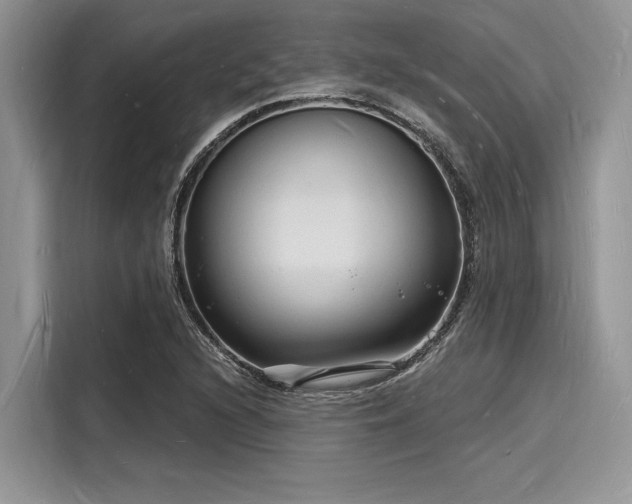X0000116131216200911301340