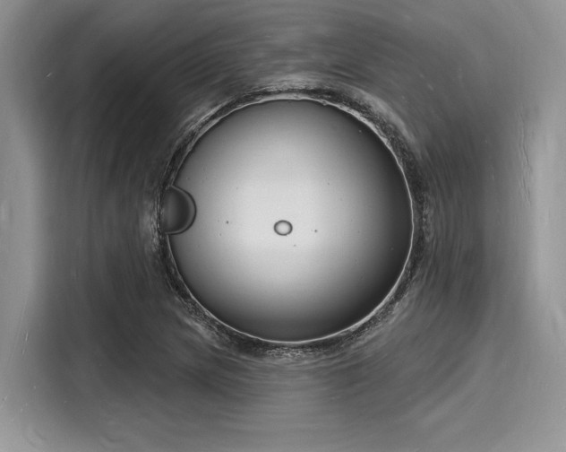 X0000116131217200911301340