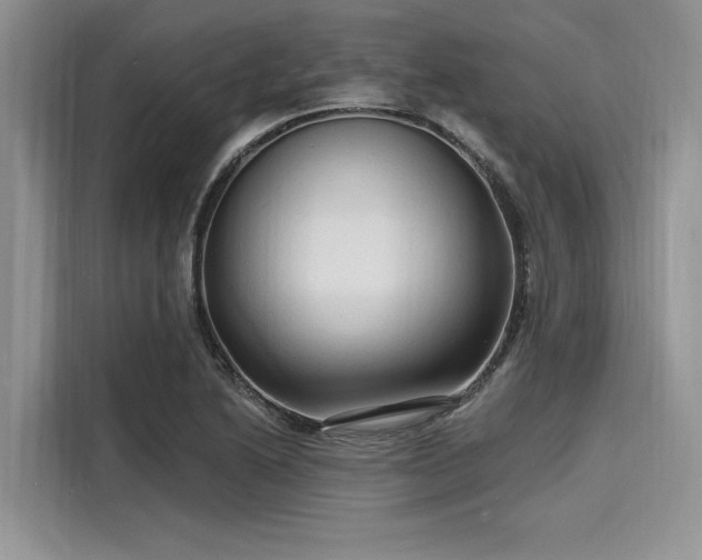 X0000116131222200911301340