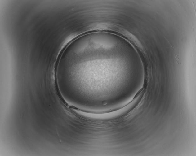 X0000116131226200911301340