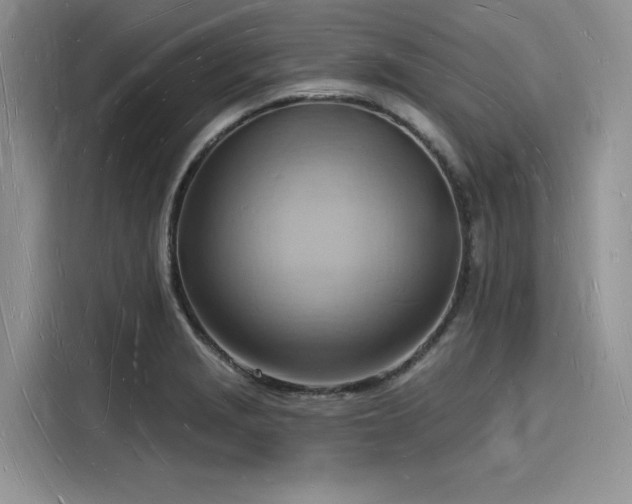 X0000116131229200911301340