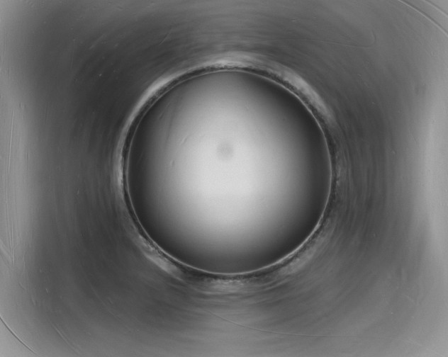X0000116131232200911301340