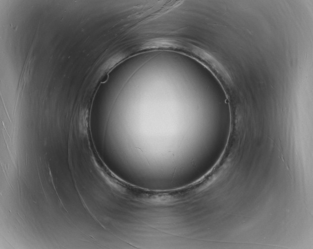 X0000116131233200911301340