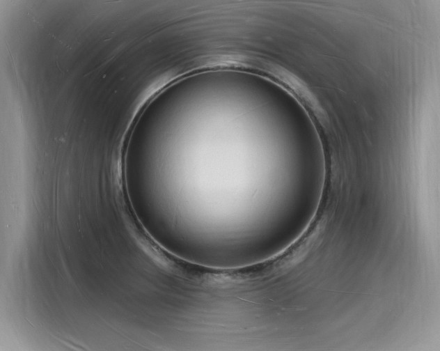 X0000116131234200911301340