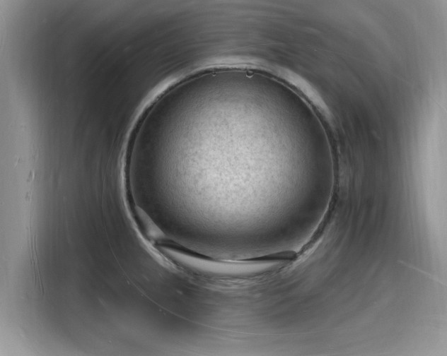X0000116131237200911301340