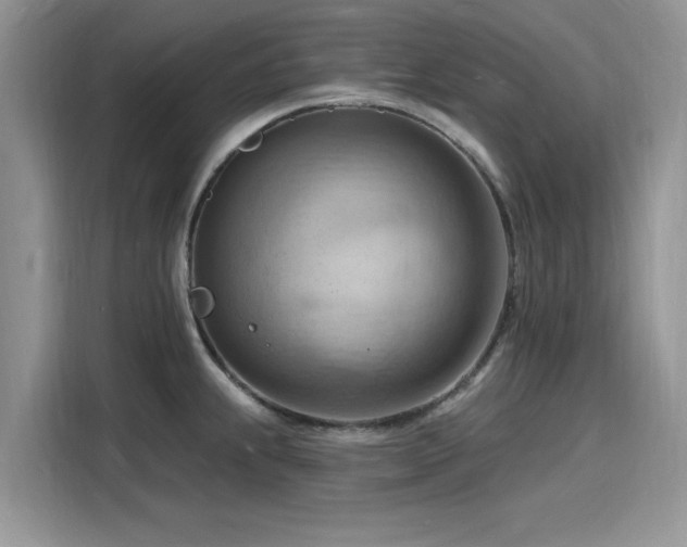 X0000116131239200911301340