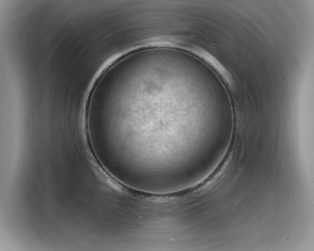 X0000116131240200911301340