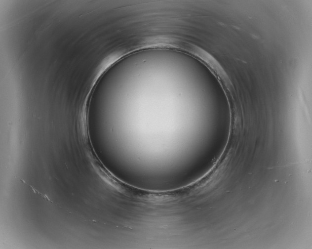 X0000116131242200911301340