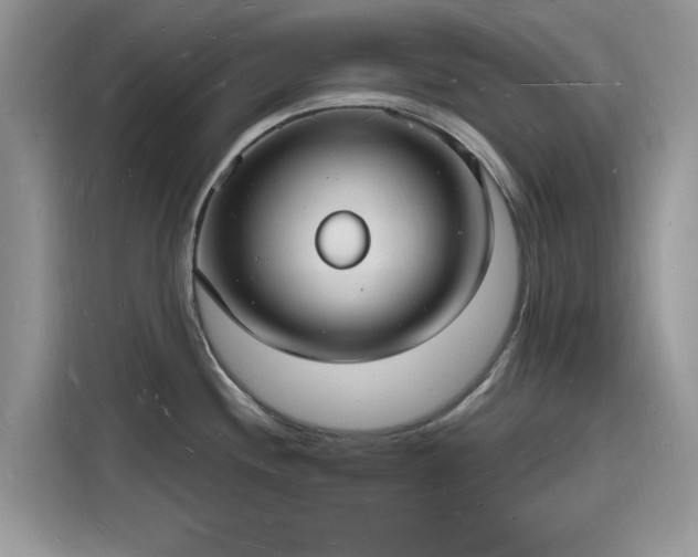 X0000116131244200911301341