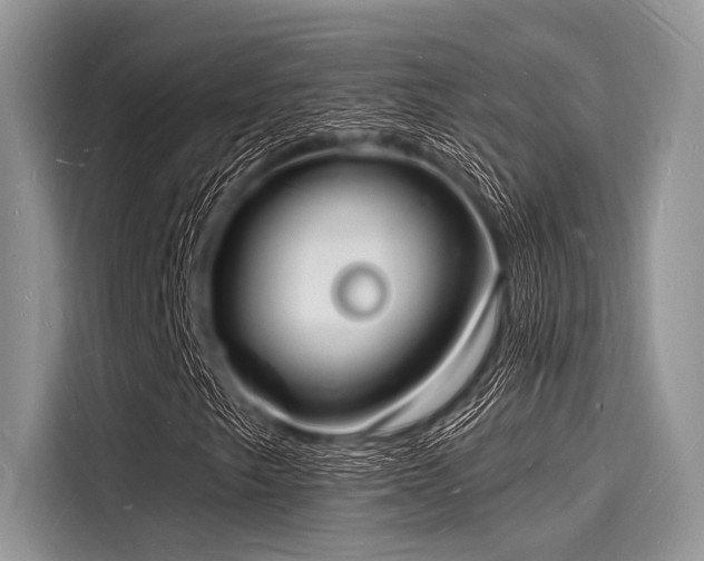 X0000116131249200911301340