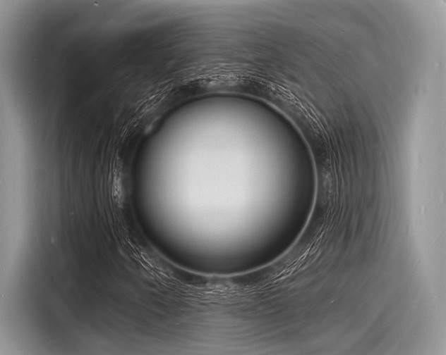 X0000116131250200911301340