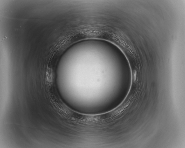 X0000116131251200911301340