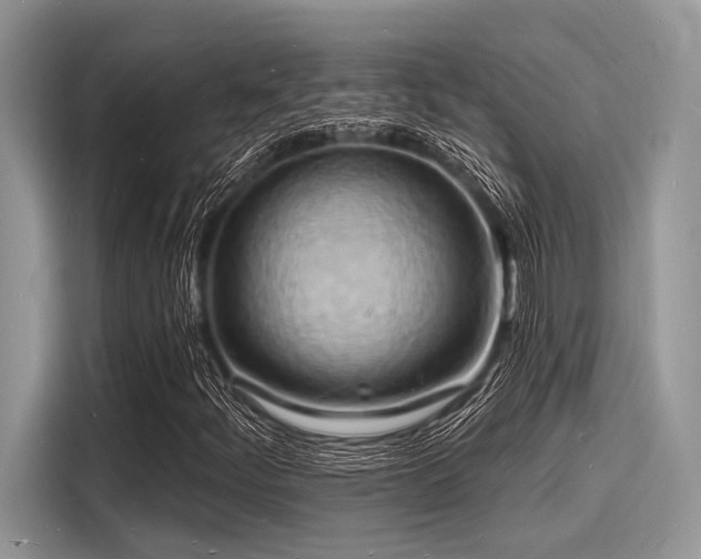 X0000116131252200911301340