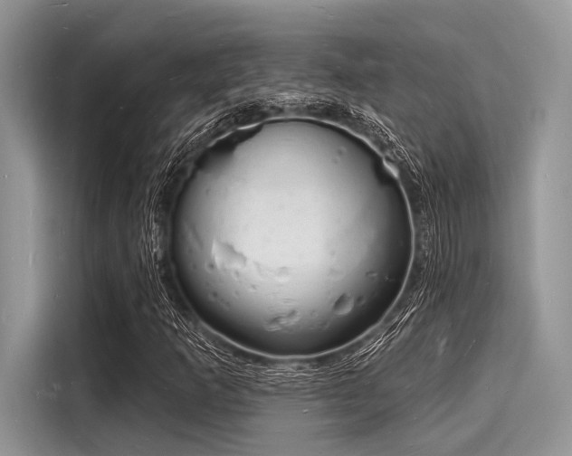 X0000116131253200911301340