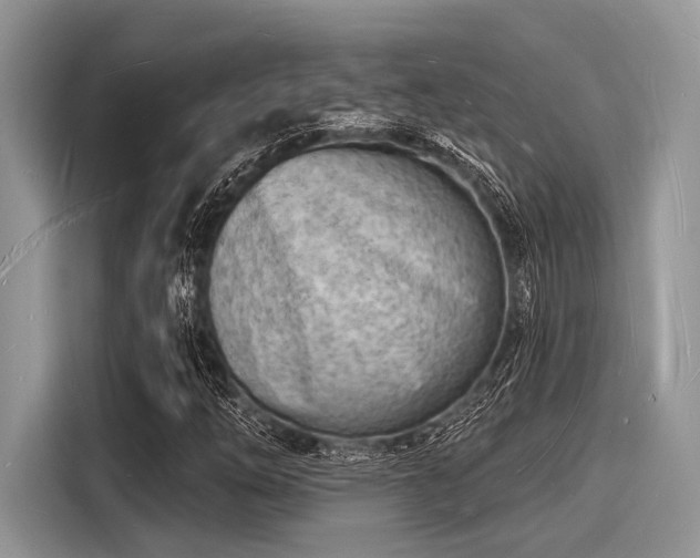 X0000116131254200911301340