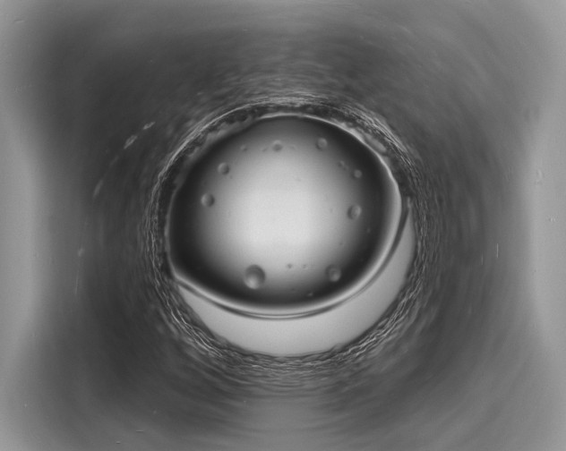 X0000116131256200911301340
