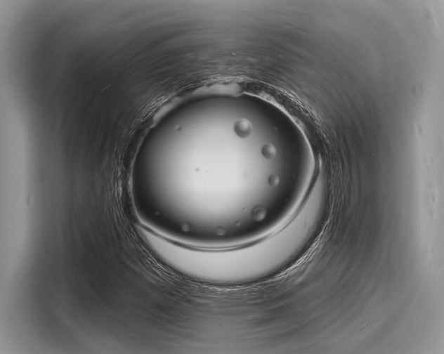 X0000116131257200911301340
