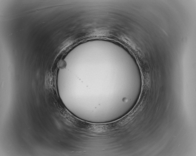 X0000116131258200911301340