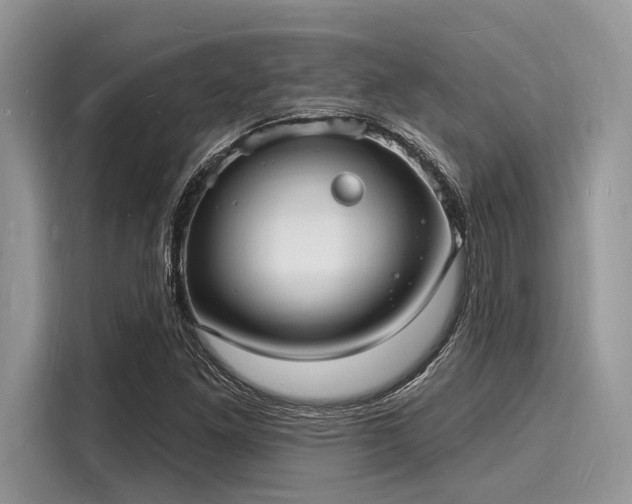 X0000116131261200911301340