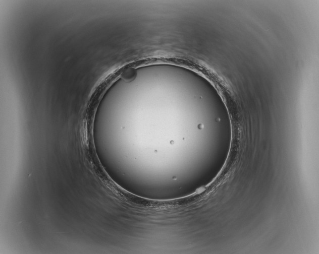 X0000116131262200911301340