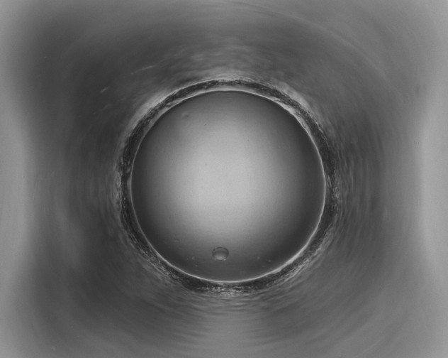 X0000116131263200911301340