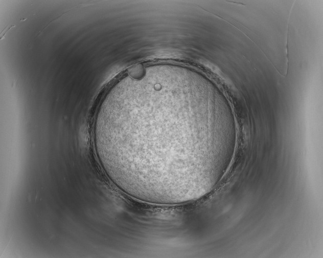 X0000116131266200911301340