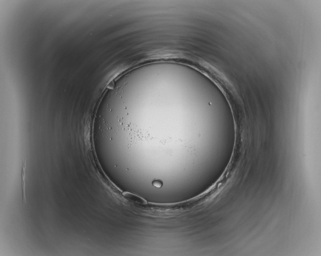X0000116131273200911301340