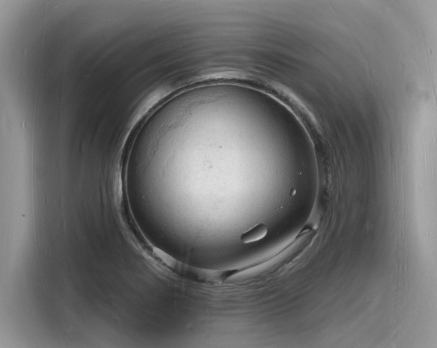 X0000116131274200911301340