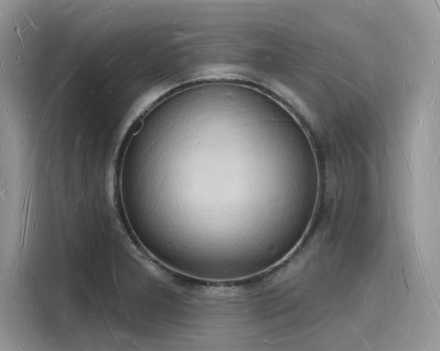 X0000116131277200911301340