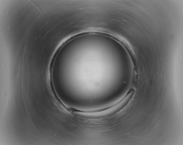 X0000116131280200911301340