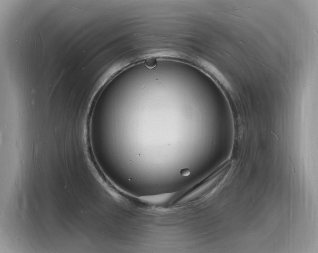 X0000116131282200911301340