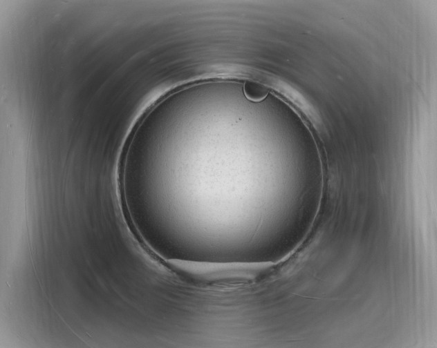 X0000116131283200911301339