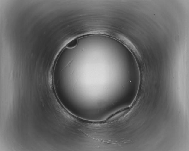 X0000116131284200911301339