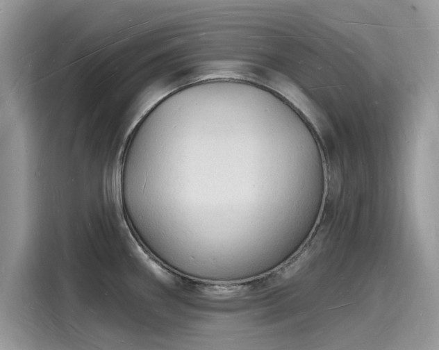 X0000116131290200911301339
