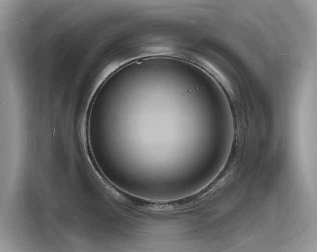 X0000116131291200911301339