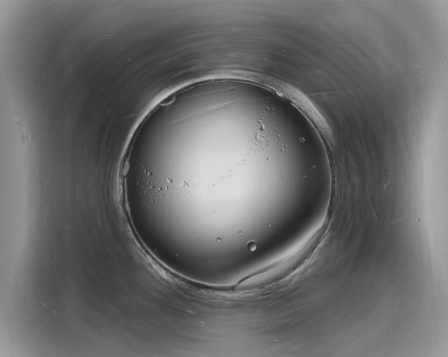 X0000116131292200911301339