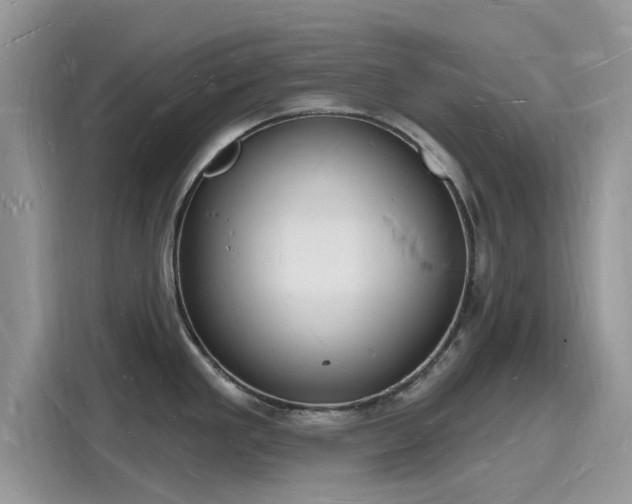X0000116131293200911301339
