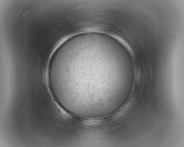 X0000116131294200911301339