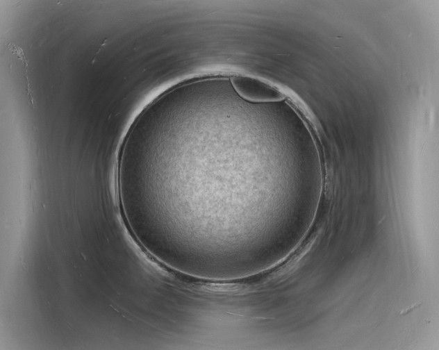 X0000116131295200911301339