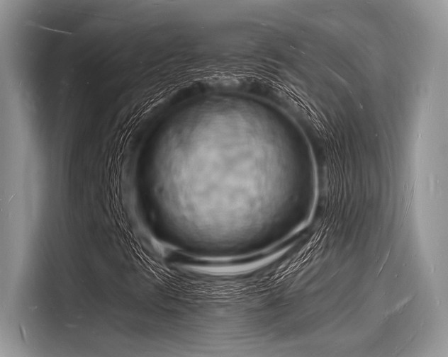 X0000116131297200911301339