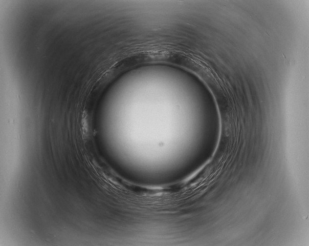 X0000116131298200911301339