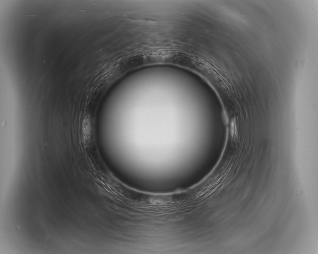 X0000116131299200911301339